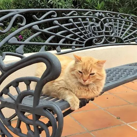 Apartmán Puerto Banus Penthouse Duplex Corner *